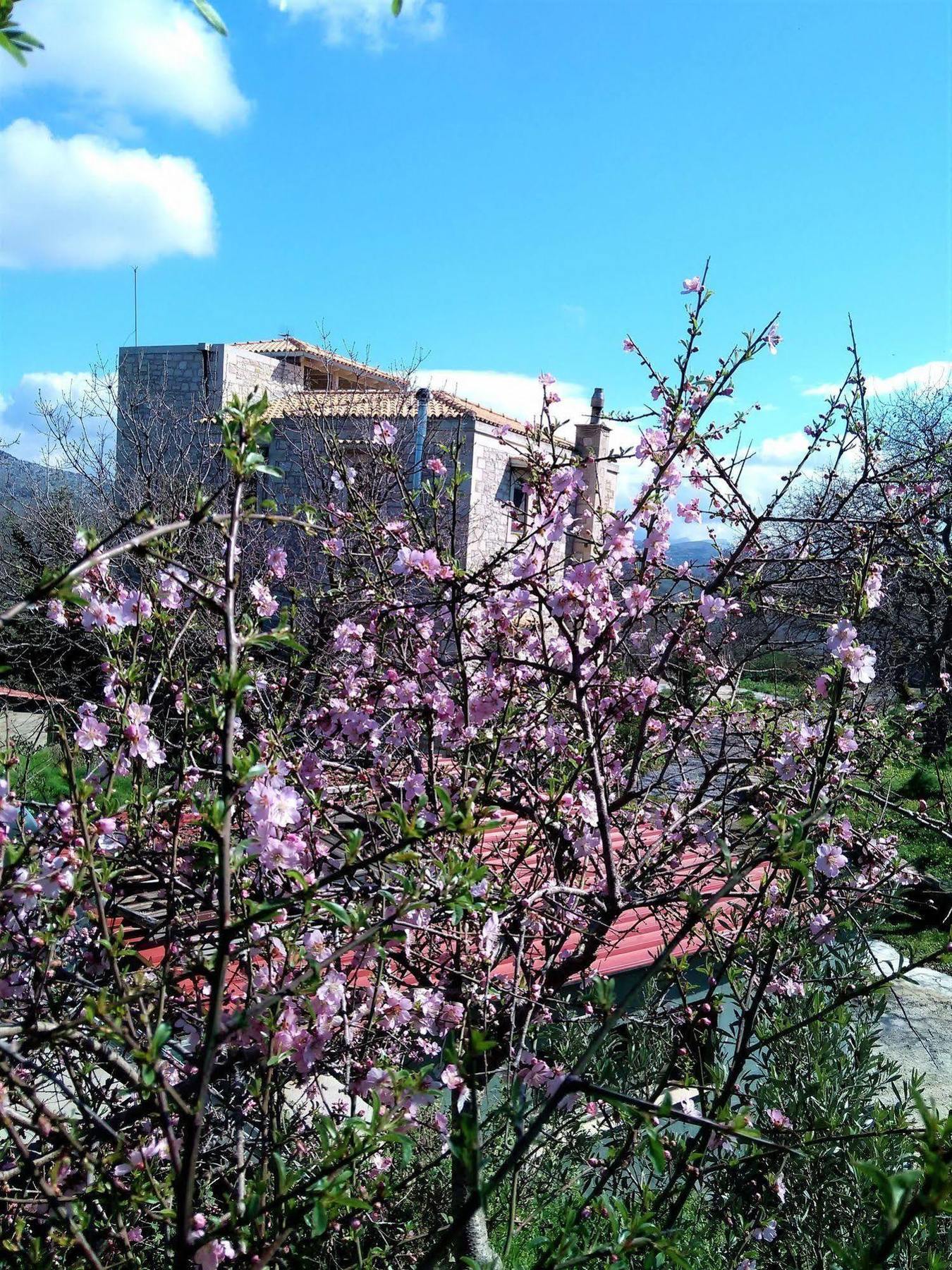 Villa Ermis - The Cretan Castello Kastellos Luaran gambar